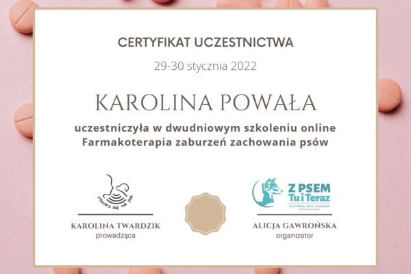 Screenshot 2025-07-14 at 09.54.08 kopia