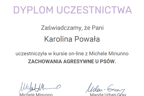 Screenshot 2025-07-14 at 09.54.20 kopia