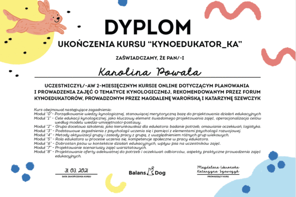 Screenshot 2025-07-14 at 09.54.40 kopia