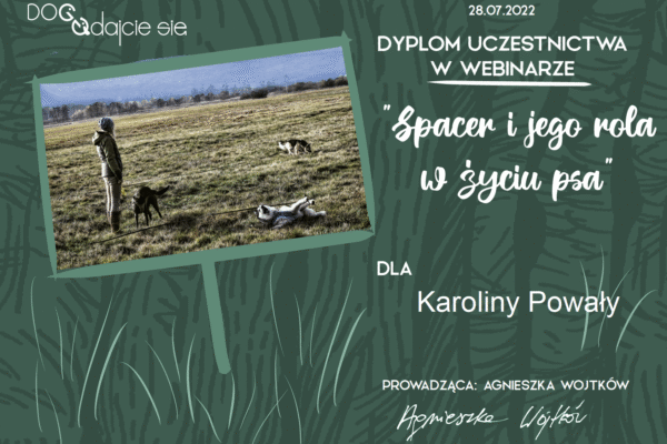 Screenshot 2025-07-14 at 09.54.45 kopia