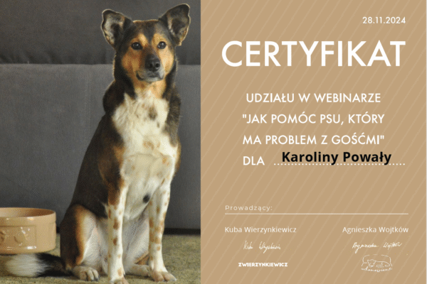 Screenshot 2025-07-14 at 09.55.02 kopia