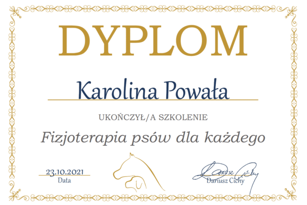 Screenshot 2025-07-14 at 09.55.10 kopia