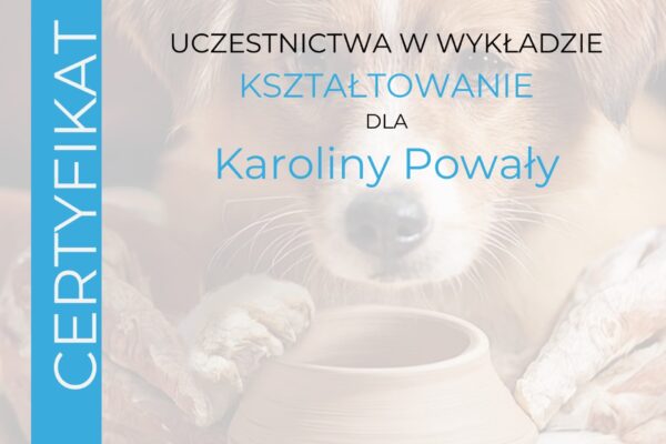 Certyfikat_Ksztaltowanie