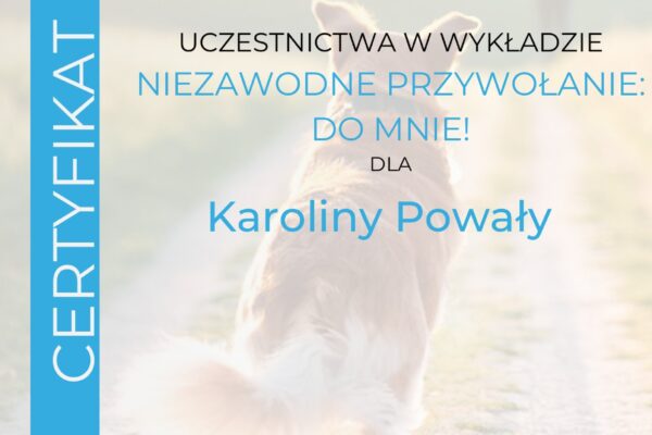 Certyfikat_Niezawodne_Przywolanie