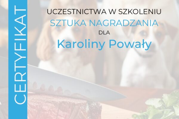 Certyfikat_Sztuka_Nagradzania