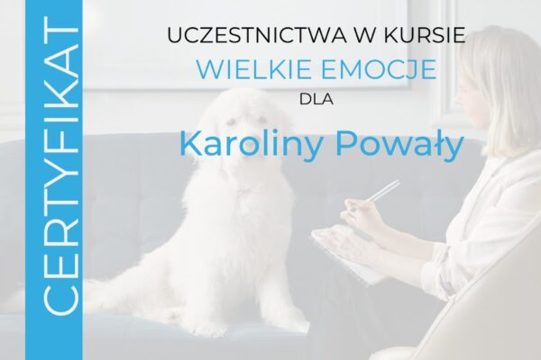 Certyfikat_Wielkie_Emocje